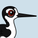 Black-necked Stilt