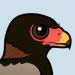 Bateleur