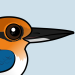 Guam Kingfisher