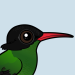 Red-billed Streamertail
