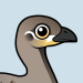Malleefowl