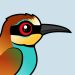 European Bee-eater