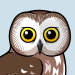 Northern Saw-whet Owl