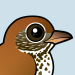 Wood Thrush