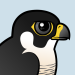 Peregrine Falcon