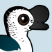 Knob-billed Duck
