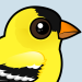 American Goldfinch