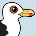 Great Black-backed Gull