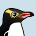 Yellow-eyed Penguin