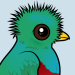 Resplendent Quetzal