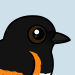 American Redstart