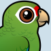 Puerto Rican Amazon