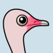 Ostrich