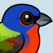 Painted Bunting