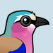 Lilac-breasted Roller