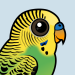 Budgerigar