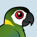 Golden-collared Macaw