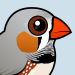 Zebra Finch