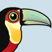 Red-breasted Toucan