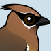 Cedar Waxwing