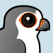 African Pygmy Falcon