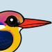 Black-backed Dwarf-Kingfisher