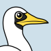 Masked Booby