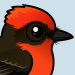 Vermilion Flycatcher