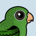 Barred Parakeet