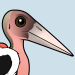Marabou Stork