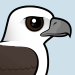 White-bellied Sea Eagle