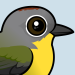 Nashville Warbler