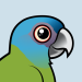 Blue-headed Macaw