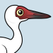 Siberian Crane