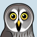 Great Grey Owl