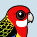Eastern Rosella