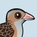 Corn Crake