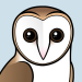 Barn Owl