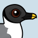 Sabine's Gull