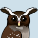 Crested Owl