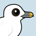 Ivory Gull