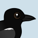Black Tern