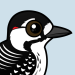 Red-cockaded Woodpecker