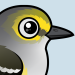 White-eyed Vireo