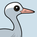 Blue Crane