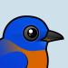 Western Bluebird