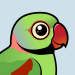 Alexandrine Parakeet
