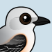 Scissor-tailed Flycatcher