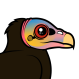 Lesser Yellow-headed Vulture