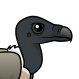 Slender-billed Vulture